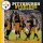 Pittsburgh Steelers Fali naptár 2026 (30 x 60 cm)