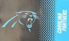 Panthers - Fade zászló
