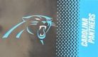 Panthers - Fade zászló