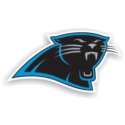 Panthers - NFL Premium Akril Mágnes