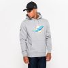 Dolphins - Team Logo Regular Hoodie