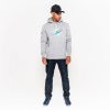 Dolphins - Team Logo Regular Hoodie