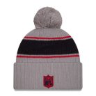 Texans - NFL24 Sideline Sport Knit CW Télisapka- Szürke