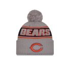 Bears - NFL24 Sideline Sport Knit CW Télisapka "C" Logó - Szürke