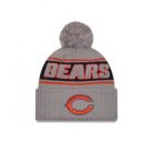 Bears - NFL24 Sideline Sport Knit CW Télisapka "C" Logó - Szürke