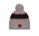 Bears - NFL24 Sideline Sport Knit CW Télisapka "C" Logó - Szürke