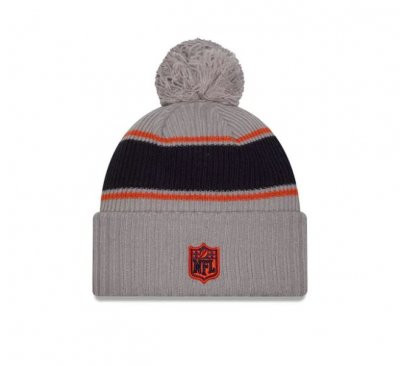 Bears - NFL24 Sideline Sport Knit CW Télisapka "C" Logó - Szürke