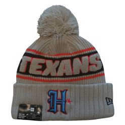 Texans - NFL24 Sideline Sport Knit CW Télisapka - Szürke