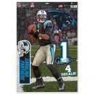 Cam Newton - Multi-Use Matricaszett