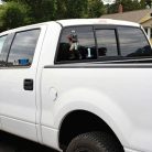 Cam Newton - Multi-Use Matricaszett