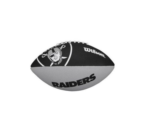 Raiders - Logo junior club labda